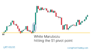 White Marubozu Candlestick Pattern - What Is And How To Trade - Living ...